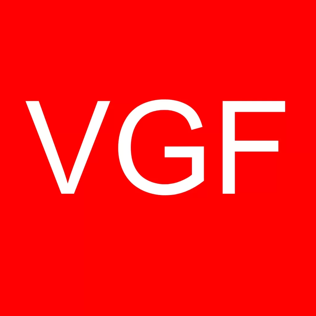Videographer Fulltime