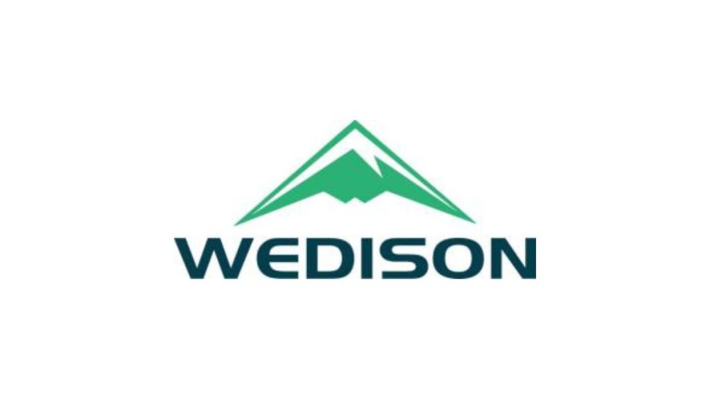 PT Wedison Green Energy Group